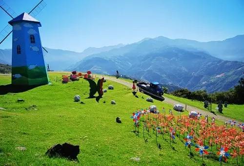 青青草原区块链，重塑数字生态的未来之路探索