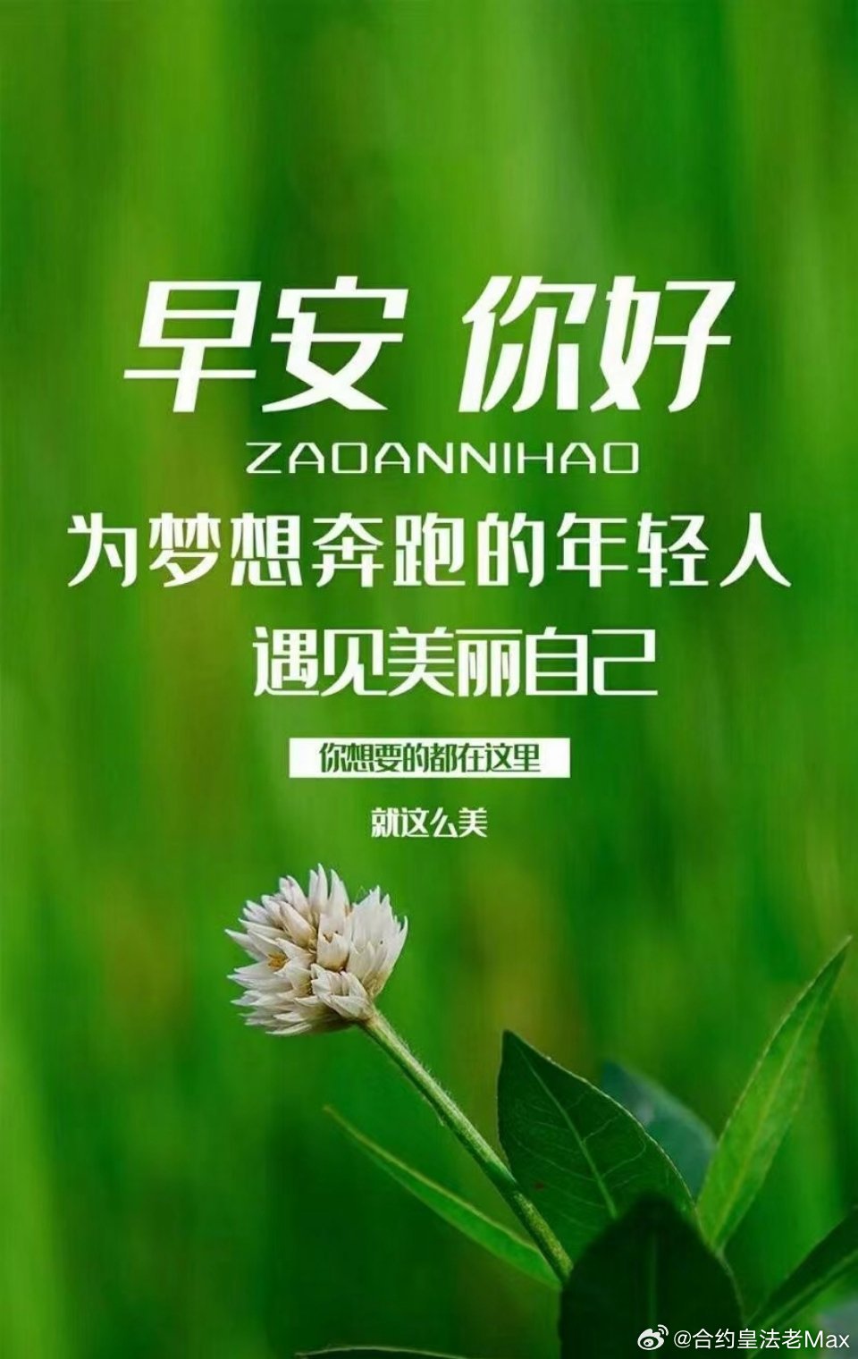 早安区块链，开启智能科技新一天的探索之旅