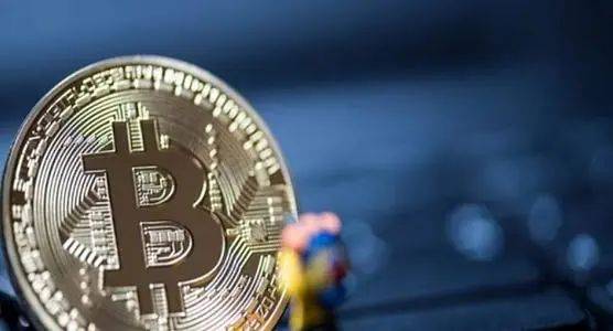 温室区块链，重塑农业生态的未来之路