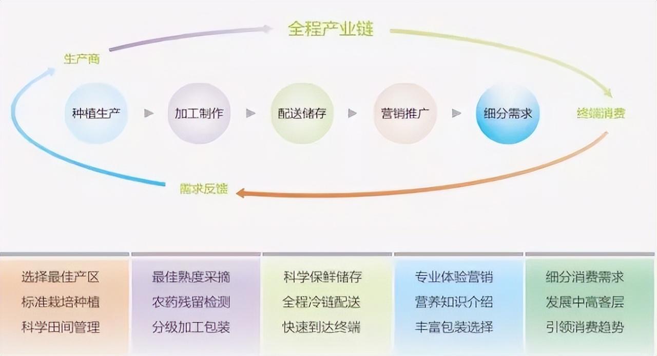 区块链供销，重塑供应链管理的未来之路