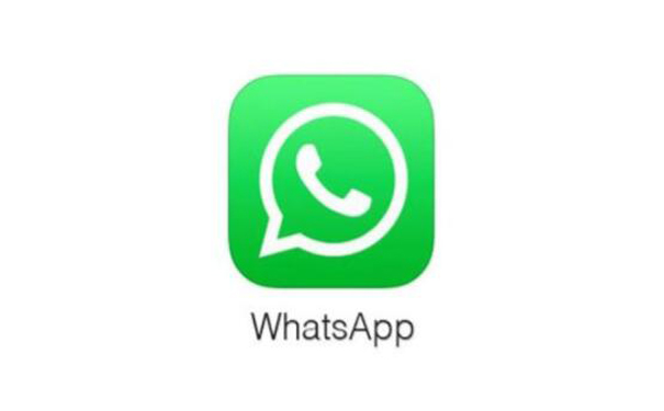 WhatsApp网页版助力信息集中管理