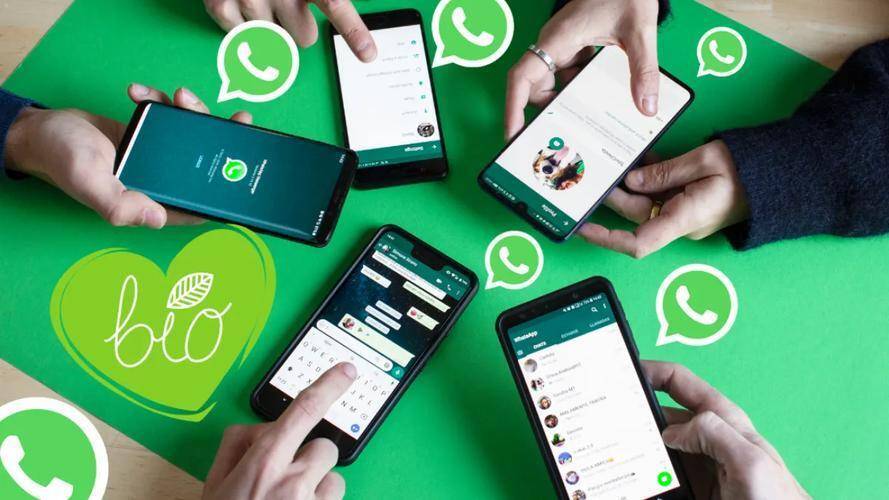 复杂沟通环境下的WhatsApp网页版体验,挑战、优化与未来展望 复杂沟通环境下的WhatsApp网页版体验,挑战、优化与未来展望